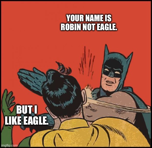 batman slapping robin no bubbles | YOUR NAME IS ROBIN NOT EAGLE. BUT I LIKE EAGLE. | image tagged in batman slapping robin no bubbles | made w/ Imgflip meme maker