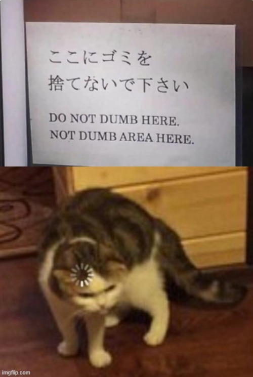 image tagged in loading cat,cats,cat,engrish,weird,loading | made w/ Imgflip meme maker
