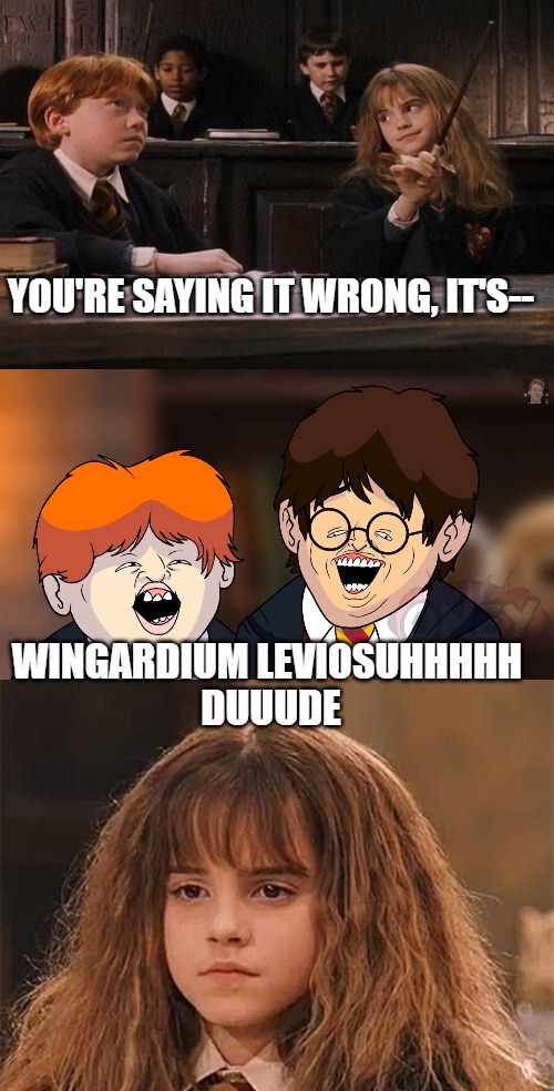 YOU'RE SAYING IT WRONG, IT'S--; WINGARDIUM LEVIOSUHHHHH 
DUUUDE | image tagged in hermione,dissapointed hermione | made w/ Imgflip meme maker
