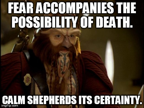 FEAR ACCOMPANIES THE POSSIBILITY OF DEATH.  CALM SHEPHERDS ITS CERTAINTY. | image tagged in dargo | made w/ Imgflip meme maker