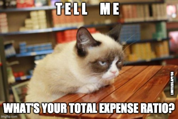 Grumpy Cat Table | T E L L     M E; LIMITLESS.APP/SG; WHAT'S YOUR TOTAL EXPENSE RATIO? | image tagged in memes,grumpy cat table,grumpy cat | made w/ Imgflip meme maker