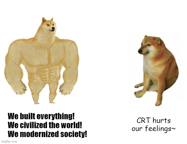 Critical Reactionary Theory | We built everything!
We civilized the world!
We modernized society! CRT hurts our feelings~ | image tagged in memes,buff doge vs cheems,criticism,black lives matter,white people,white privilege | made w/ Imgflip meme maker