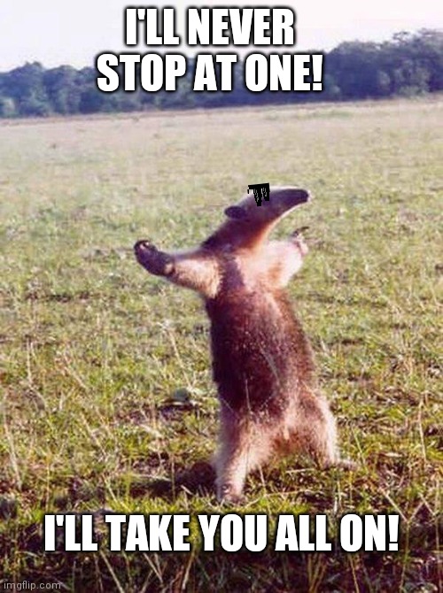Fight me anteater | I'LL NEVER STOP AT ONE! I'LL TAKE YOU ALL ON! | image tagged in fight me anteater | made w/ Imgflip meme maker