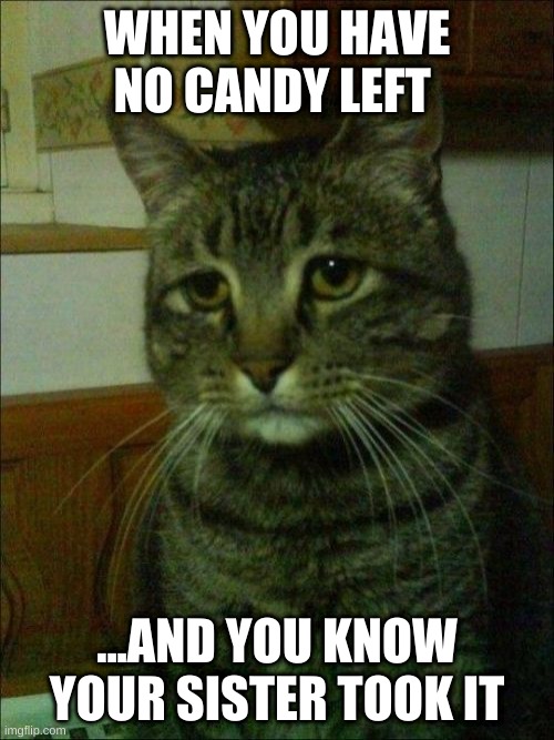 Depressed Cat | WHEN YOU HAVE NO CANDY LEFT; ...AND YOU KNOW YOUR SISTER TOOK IT | image tagged in memes,depressed cat | made w/ Imgflip meme maker