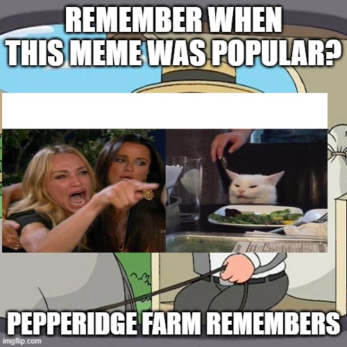 It used to have over 250K captions | REMEMBER WHEN THIS MEME WAS POPULAR? PEPPERIDGE FARM REMEMBERS | image tagged in memes,pepperidge farm remembers | made w/ Imgflip meme maker