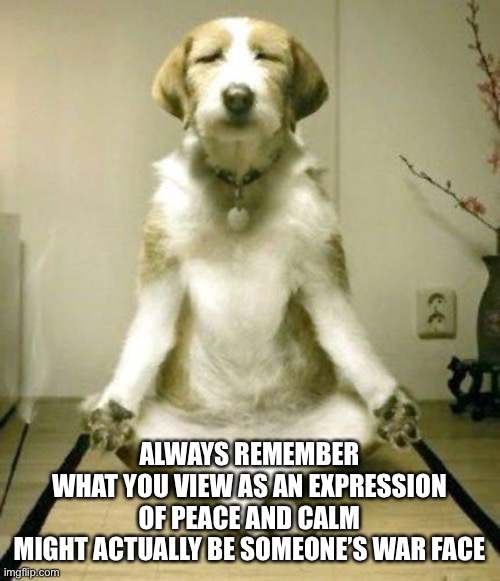 Yoga Dog | ALWAYS REMEMBER
WHAT YOU VIEW AS AN EXPRESSION OF PEACE AND CALM
MIGHT ACTUALLY BE SOMEONE’S WAR FACE | image tagged in yoga dog,war face,memes,peace dog | made w/ Imgflip meme maker