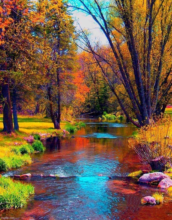 Stream and Trees | image tagged in landscape_images stream,landscapes,artwork,rick75230 | made w/ Imgflip meme maker
