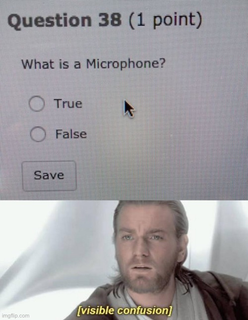 A microphone is true or false??? | image tagged in visible confusion,funny,google,stupid,i'm the dumbest man alive,do you are have stupid | made w/ Imgflip meme maker