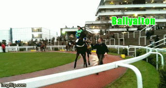 Ballyalton | image tagged in gifs | made w/ Imgflip video-to-gif maker