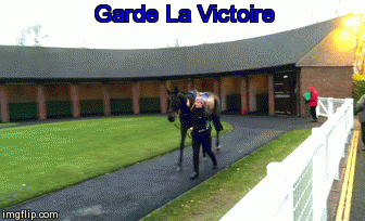 Garde La Victoire | Garde La Victoire | image tagged in gifs,garde la victoire,hobbs,johnson,whateley,cheltenham | made w/ Imgflip video-to-gif maker