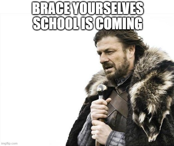 Brace Yourselves X is Coming | BRACE YOURSELVES SCHOOL IS COMING | image tagged in memes,brace yourselves x is coming,true,funny,school,school meme | made w/ Imgflip meme maker