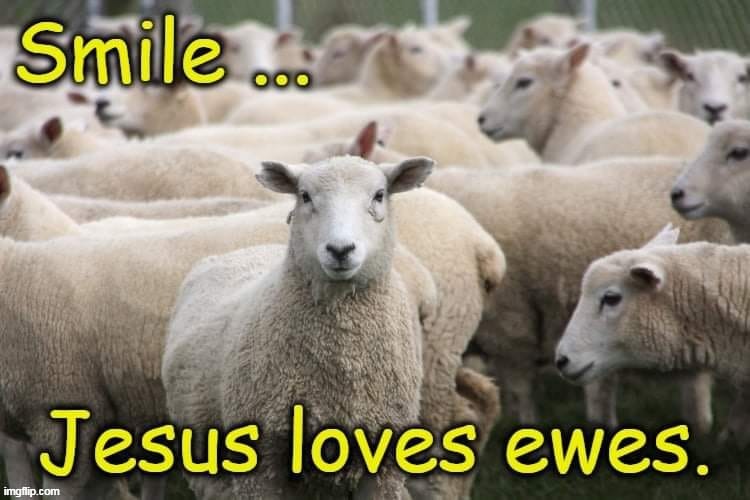 Smile. Jesus loves ewes | image tagged in calvinist memes,election,john 10,calvinist,arminian,limited atonement | made w/ Imgflip meme maker