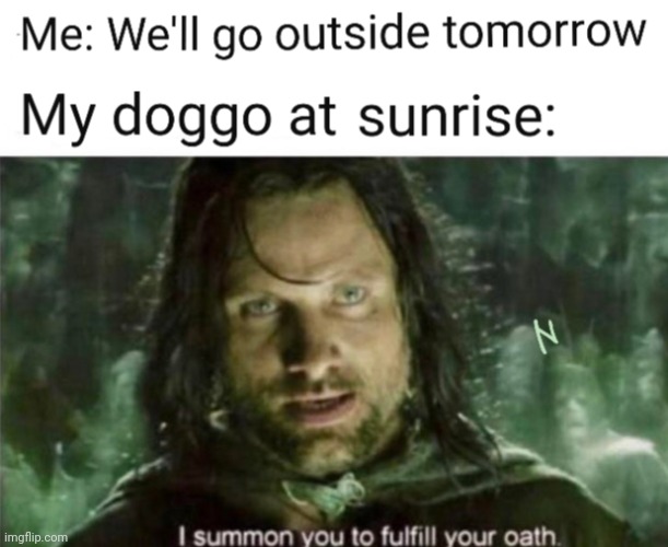 My Doggo... | image tagged in i summon you to fulfill your oath,lotr,aragorn,dogs,lord of the rings,memes | made w/ Imgflip meme maker
