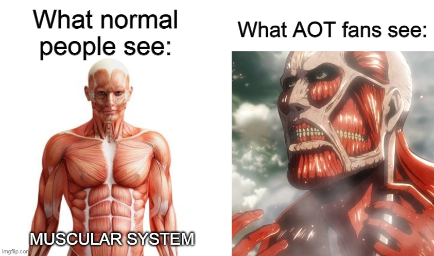 Aot fans see Colossal titan | What normal people see:; What AOT fans see:; MUSCULAR SYSTEM | image tagged in aot,attack on titan | made w/ Imgflip meme maker