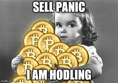 SELL PANIC I AM HODLING | image tagged in hodling | made w/ Imgflip meme maker