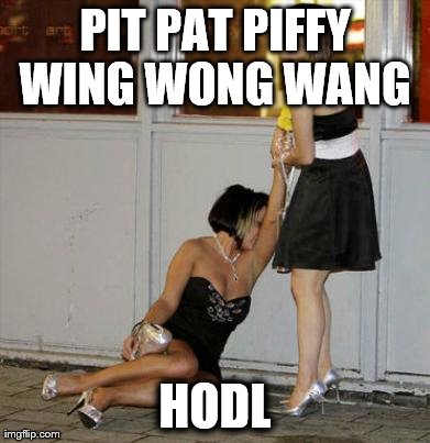 PIT PAT PIFFY WING WONG WANG  HODL | image tagged in hodl | made w/ Imgflip meme maker