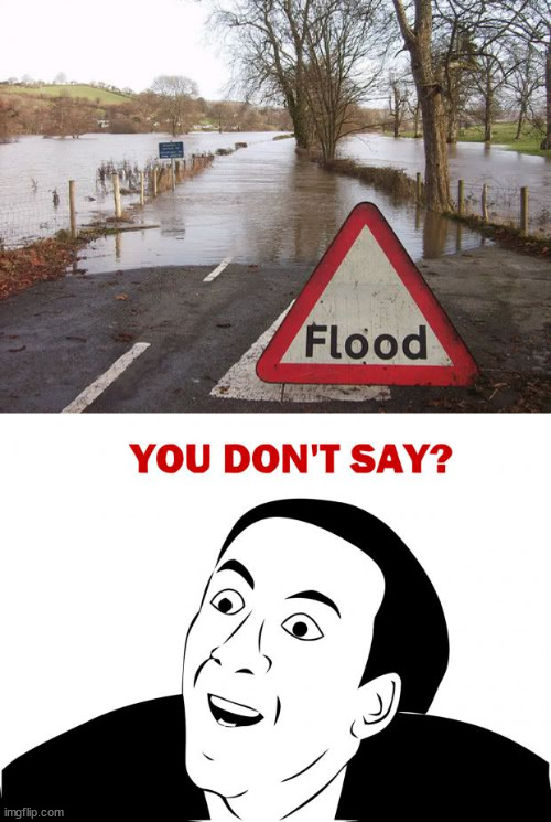 It is very obvious that there is a flood | image tagged in memes,you don't say,funny,lmao,oop,flood | made w/ Imgflip meme maker
