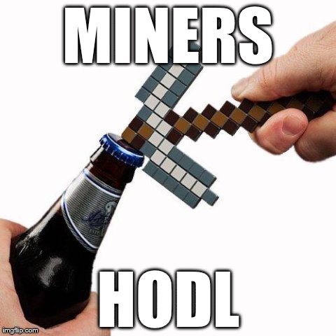 MINERS HODL | image tagged in hodl | made w/ Imgflip meme maker