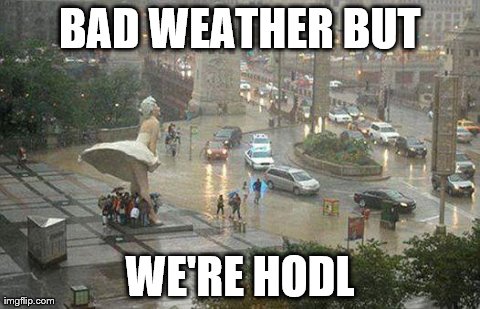 BAD WEATHER BUT WE'RE HODL | image tagged in hodl | made w/ Imgflip meme maker