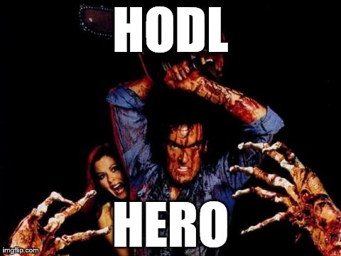 HODL HERO | image tagged in hodl | made w/ Imgflip meme maker