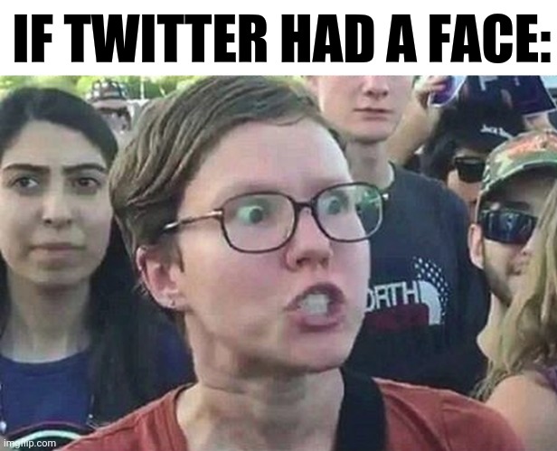 Am i wrong tho | IF TWITTER HAD A FACE: | image tagged in triggered liberal,funny,twitter,offended,triggered,so true memes | made w/ Imgflip meme maker
