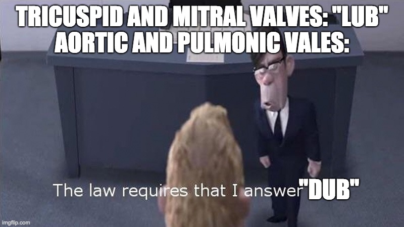 This sounded funnier in my head tbh... | TRICUSPID AND MITRAL VALVES: "LUB"
AORTIC AND PULMONIC VALES:; "DUB" | image tagged in the law requires that i answer no | made w/ Imgflip meme maker