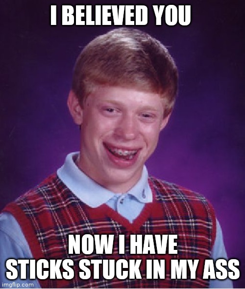 Bad Luck Brian Meme | I BELIEVED YOU NOW I HAVE STICKS STUCK IN MY ASS | image tagged in memes,bad luck brian | made w/ Imgflip meme maker