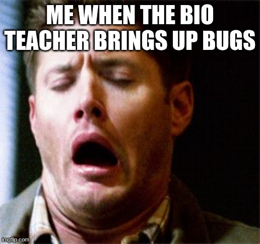 bio 3 | ME WHEN THE BIO TEACHER BRINGS UP BUGS | image tagged in dean supernatural | made w/ Imgflip meme maker