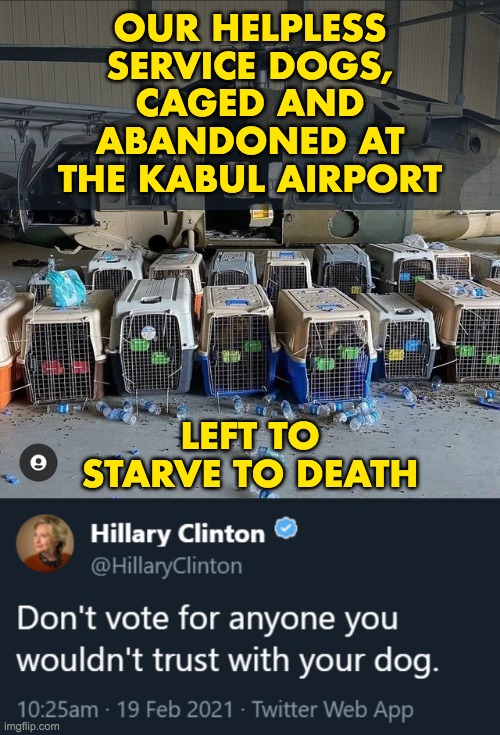 Abandoned k-9s | OUR HELPLESS
SERVICE DOGS,
CAGED AND ABANDONED AT THE KABUL AIRPORT; LEFT TO STARVE TO DEATH | image tagged in joe biden,afghanistan,dogs,k-9,abandoned,disgrace | made w/ Imgflip meme maker