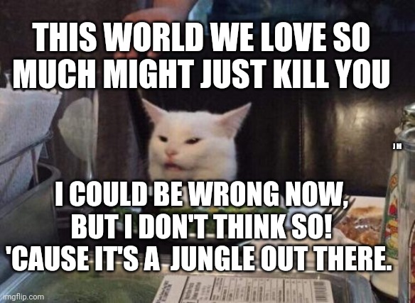 Salad cat | THIS WORLD WE LOVE SO MUCH MIGHT JUST KILL YOU; I COULD BE WRONG NOW, BUT I DON'T THINK SO!
'CAUSE IT'S A  JUNGLE OUT THERE. J M | image tagged in salad cat | made w/ Imgflip meme maker