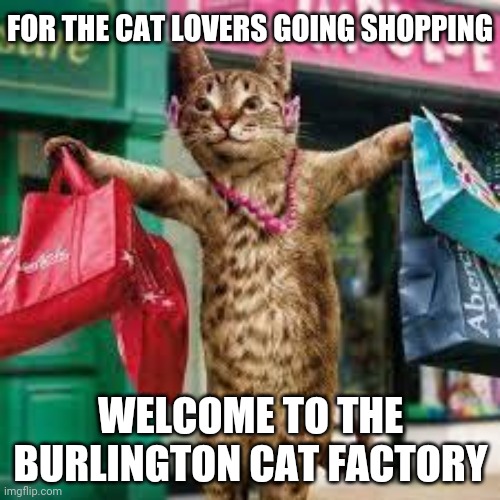 Burlington Cat Factory store | FOR THE CAT LOVERS GOING SHOPPING; WELCOME TO THE BURLINGTON CAT FACTORY | image tagged in cat shopping,memes,meme,comment section,comments,comment | made w/ Imgflip meme maker