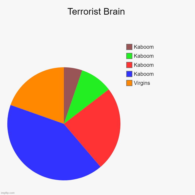 Terrorist Brain | Virgins, Kaboom, Kaboom, Kaboom, Kaboom | image tagged in charts,pie charts,terrorism,9/11,dark humor,cannabalism | made w/ Imgflip chart maker