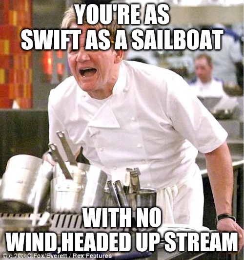 Chef Gordon Ramsay | YOU'RE AS SWIFT AS A SAILBOAT; WITH NO WIND,HEADED UP STREAM | image tagged in memes,chef gordon ramsay | made w/ Imgflip meme maker