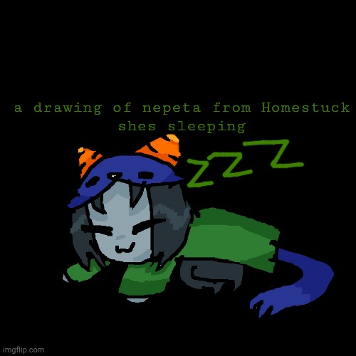 a drawing of nepeta from Homestuck
shes sleeping | image tagged in sleeping nepeta | made w/ Imgflip meme maker