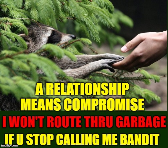 Intra-Species Dating for Singles | image tagged in vince vance,racoon,relationships,compromise,memes,garbage | made w/ Imgflip meme maker