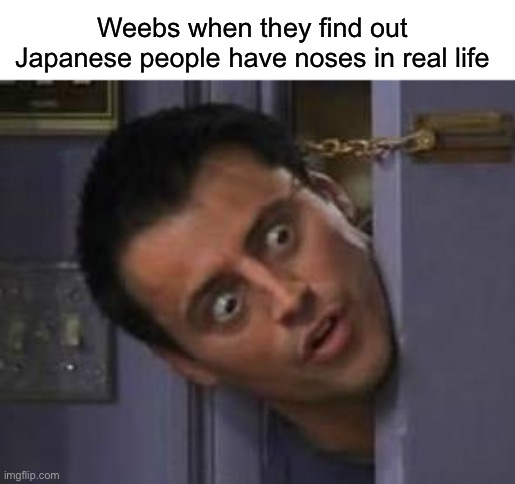 WHOA | Weebs when they find out Japanese people have noses in real life | image tagged in wide eyes from behind door,funny | made w/ Imgflip meme maker