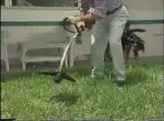 Generated image from gifs generated with the Imgflip Animated GIF Generator