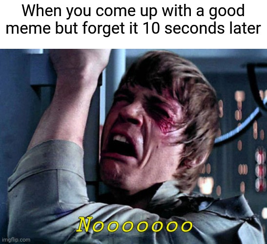 Nooo | When you come up with a good meme but forget it 10 seconds later; Nooooooo | image tagged in nooo | made w/ Imgflip meme maker