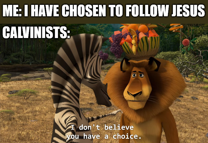Free will | ME: I HAVE CHOSEN TO FOLLOW JESUS; CALVINISTS: | image tagged in calvinism,dank,christian,memes,r/dankchristianmemes | made w/ Imgflip meme maker