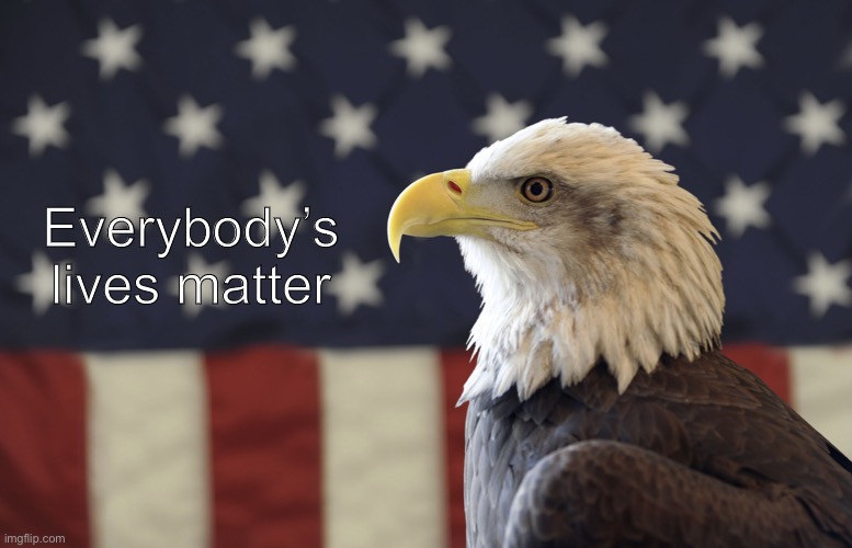 American Bald Eagle and US Flag | Everybody’s lives matter | image tagged in american bald eagle and us flag | made w/ Imgflip meme maker