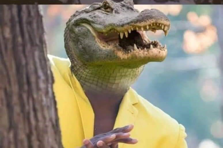High Quality Crocodile waiting behind tree Blank Meme Template