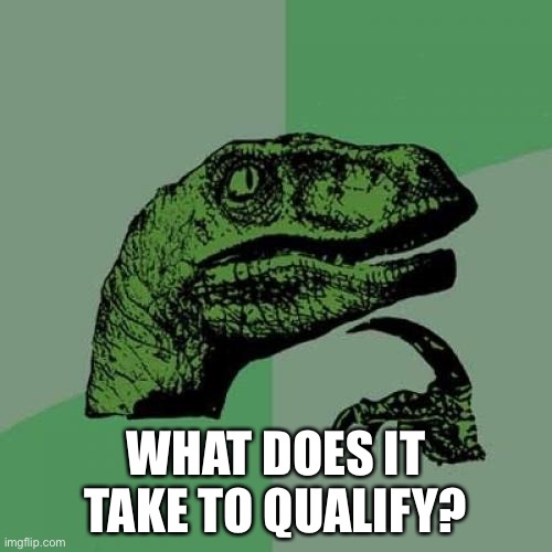 Philosoraptor | WHAT DOES IT TAKE TO QUALIFY? | image tagged in memes,philosoraptor | made w/ Imgflip meme maker