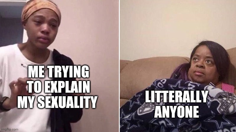 Me explaining to my mom | ME TRYING TO EXPLAIN MY SEXUALITY; LITTERALLY ANYONE | image tagged in me explaining to my mom | made w/ Imgflip meme maker
