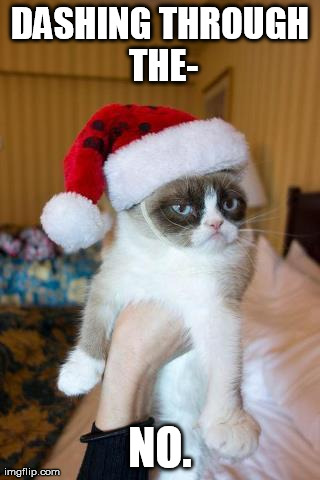 Grumpy Cat Christmas | DASHING THROUGH THE- NO. | image tagged in memes,grumpy cat | made w/ Imgflip meme maker
