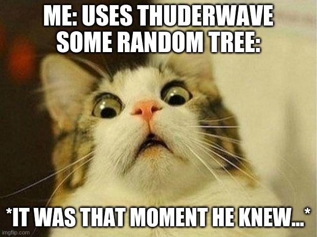 this happened yesterday... | ME: USES THUDERWAVE
SOME RANDOM TREE:; *IT WAS THAT MOMENT HE KNEW...* | image tagged in memes,scared cat | made w/ Imgflip meme maker