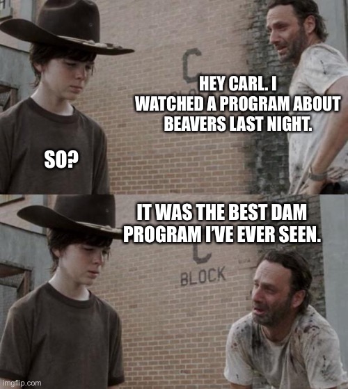Rick and Carl | HEY CARL. I WATCHED A PROGRAM ABOUT BEAVERS LAST NIGHT. SO? IT WAS THE BEST DAM PROGRAM I’VE EVER SEEN. | image tagged in memes,rick and carl | made w/ Imgflip meme maker