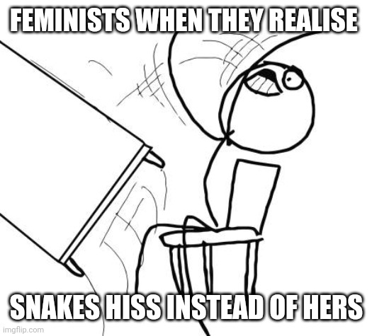 Bruuh | FEMINISTS WHEN THEY REALISE; SNAKES HISS INSTEAD OF HERS | image tagged in memes,table flip guy,feminists,boredom | made w/ Imgflip meme maker