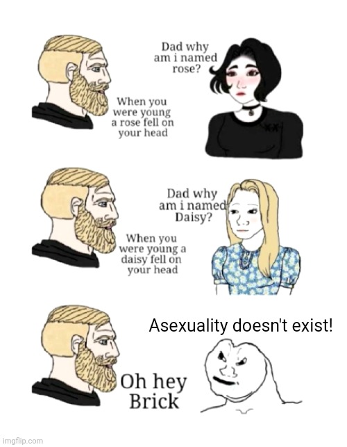 Ya dum briq | Asexuality doesn't exist! | image tagged in dad why am i named,asexual,brick | made w/ Imgflip meme maker