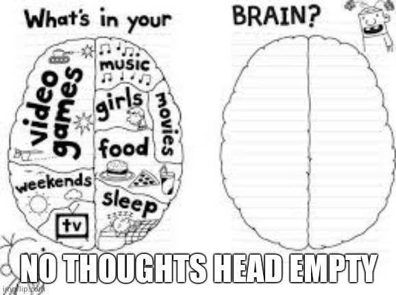 whats in your brain? | NO THOUGHTS HEAD EMPTY | image tagged in whats in your brain | made w/ Imgflip meme maker