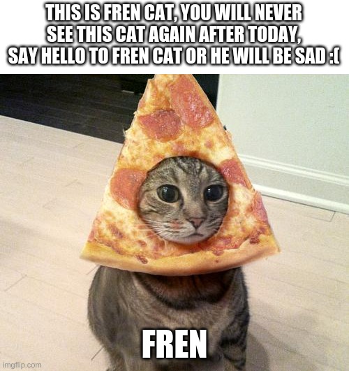 Image Title | THIS IS FREN CAT, YOU WILL NEVER SEE THIS CAT AGAIN AFTER TODAY, SAY HELLO TO FREN CAT OR HE WILL BE SAD :(; FREN | image tagged in pizza cat | made w/ Imgflip meme maker